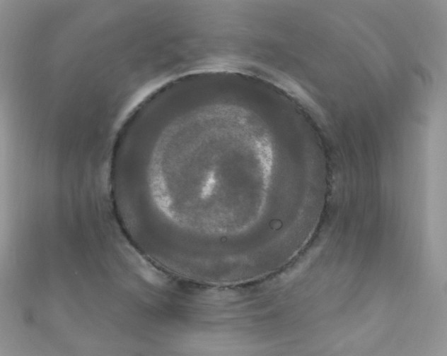 X0000111021216200907022151