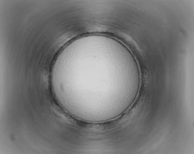 X0000111021217200907022151