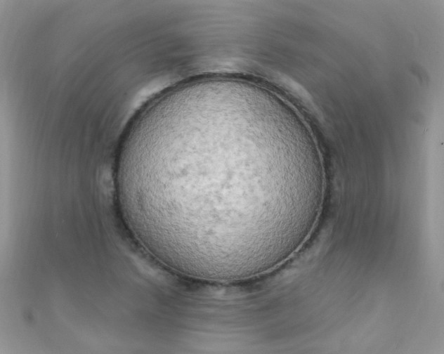 X0000111021218200907022151