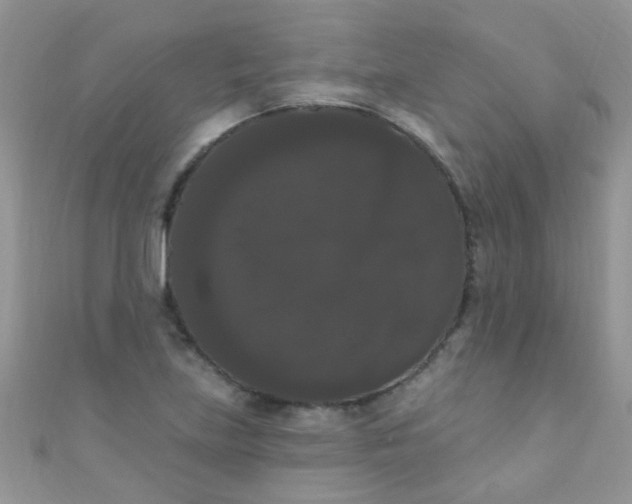 X0000111021219200907022151