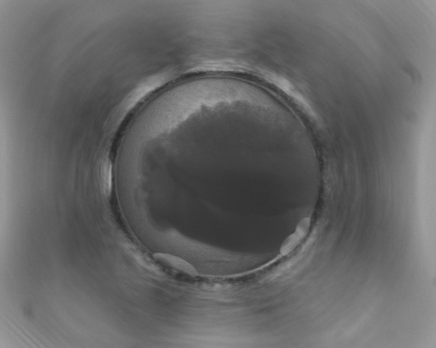 X0000111021221200907022151