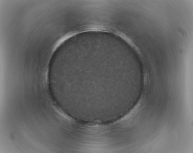 X0000111021222200907022151