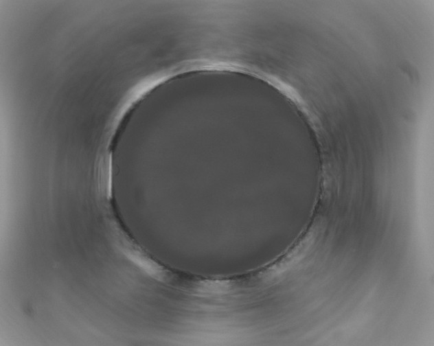 X0000111021223200907022151
