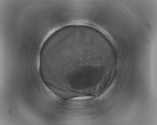 X0000111021224200907022151