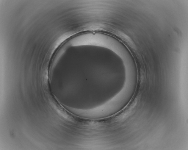 X0000111021226200907022151