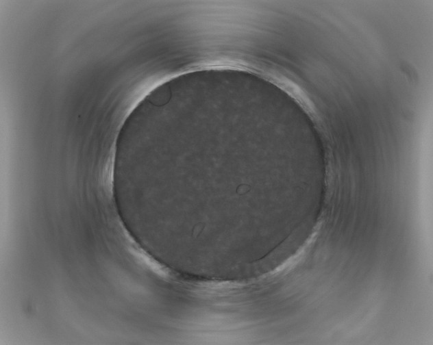 X0000111021228200907022151