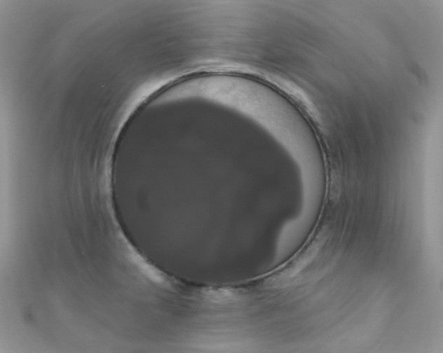 X0000111021231200907022151