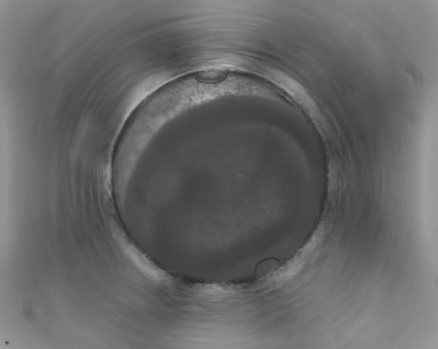 X0000111021234200907022152