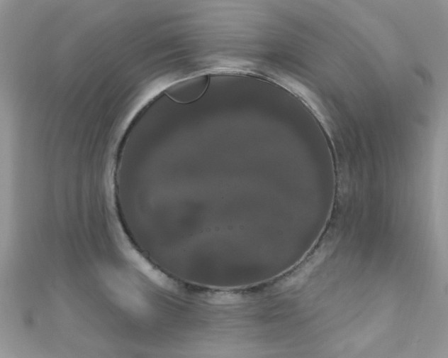 X0000111021235200907022152