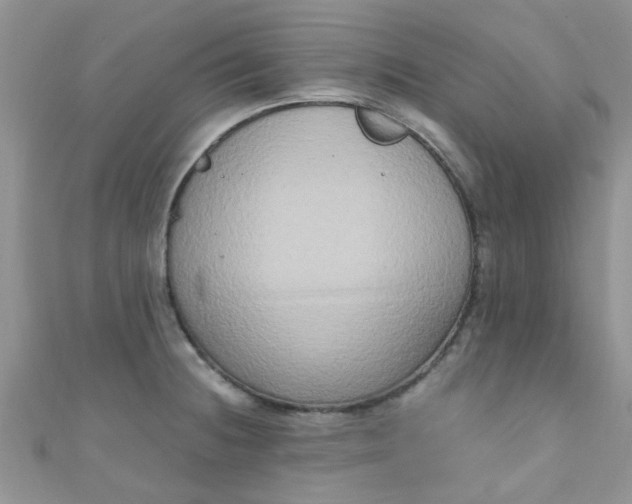 X0000111021236200907022152