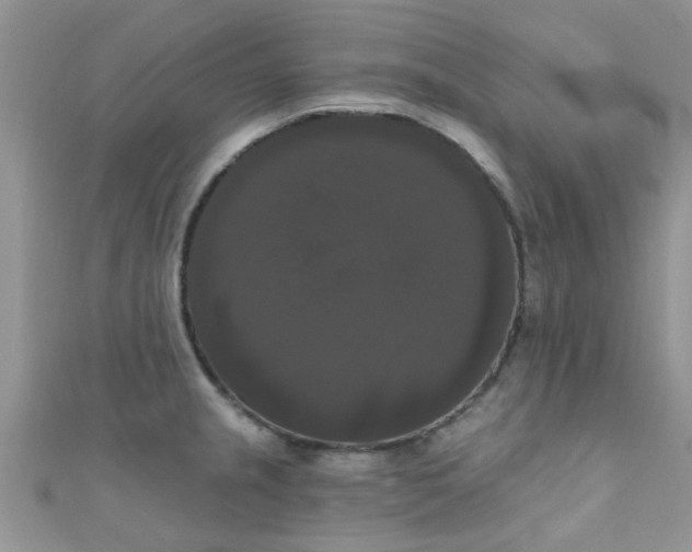 X0000111021237200907022152