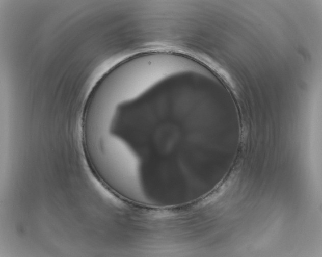 X0000111021239200907022152