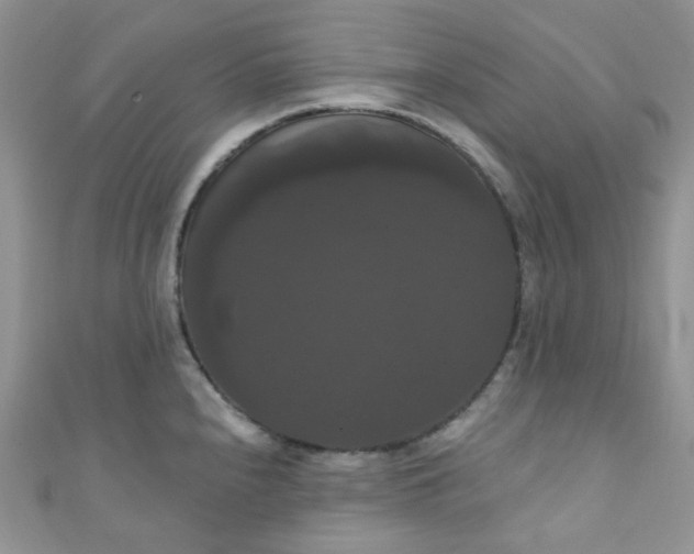 X0000111021240200907022152