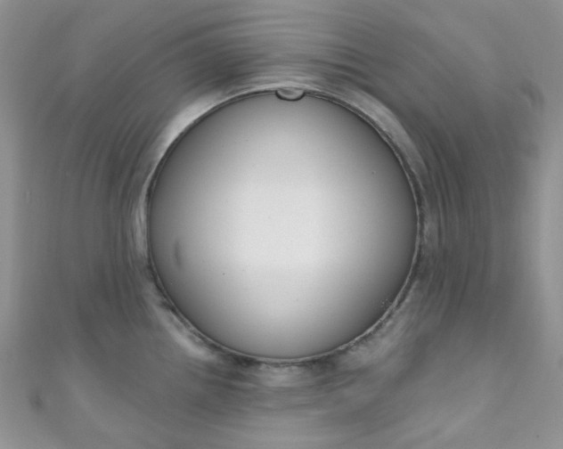 X0000111021242200907022152