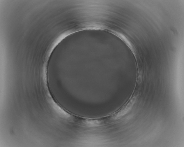 X0000111021243200907022152