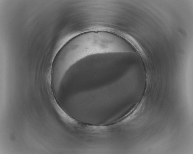 X0000111021244200907022152