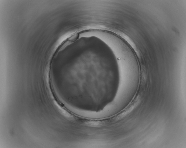 X0000111021245200907022152