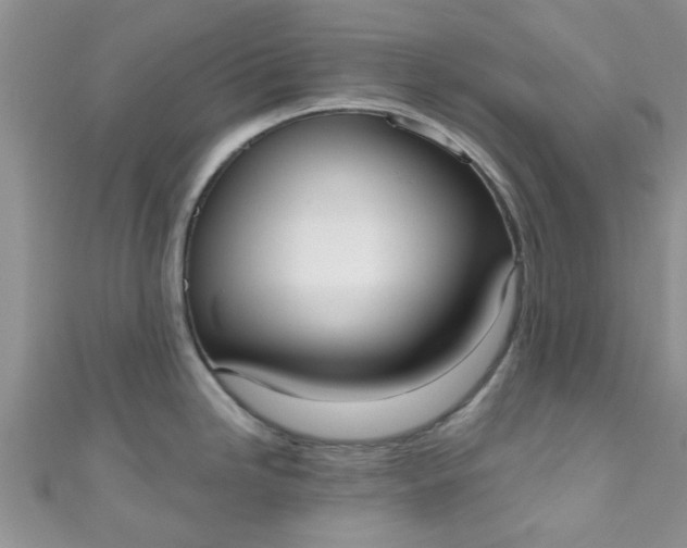 X0000111021246200907022152