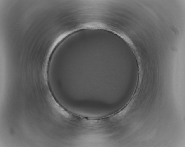 X0000111021248200907022152