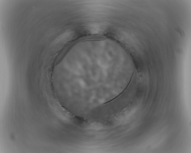 X0000111021249200907022151