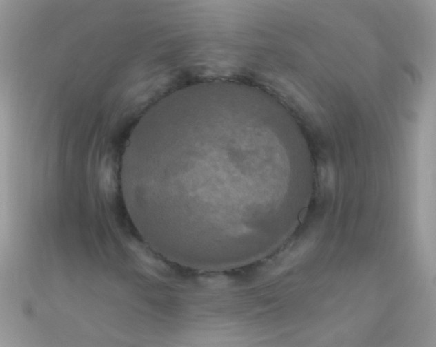 X0000111021250200907022151