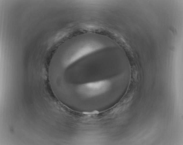 X0000111021253200907022151