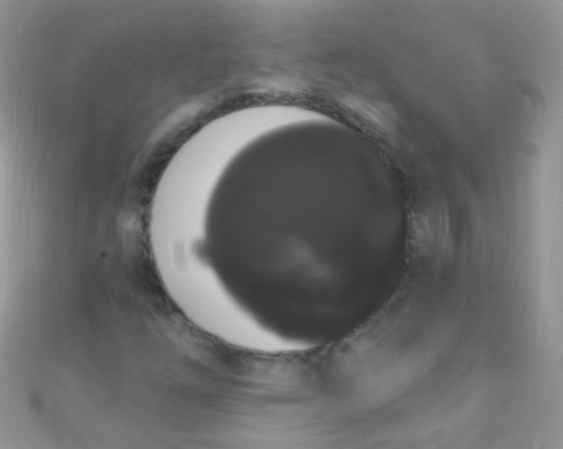X0000111021254200907022151