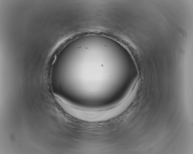 X0000111021256200907022151