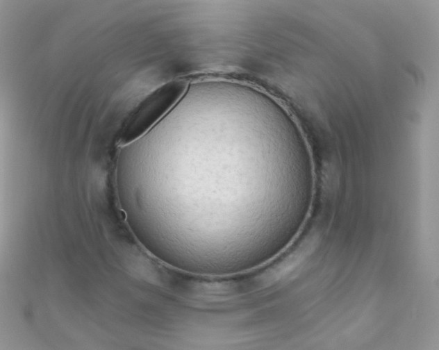 X0000111021257200907022151