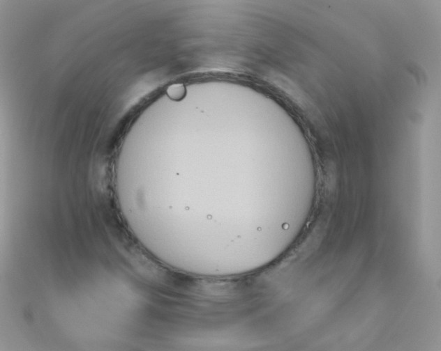 X0000111021258200907022151
