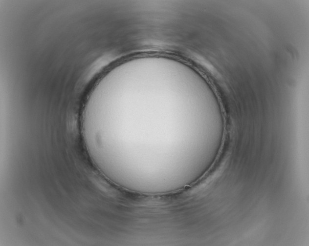X0000111021259200907022151