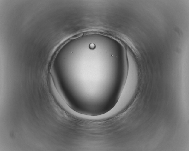 X0000111021260200907022151