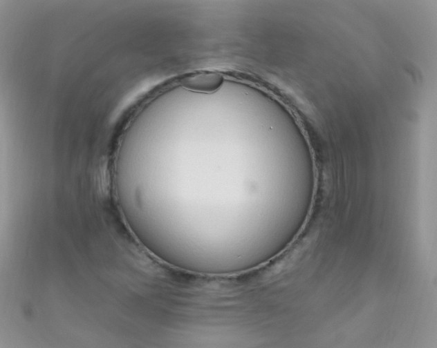 X0000111021262200907022151