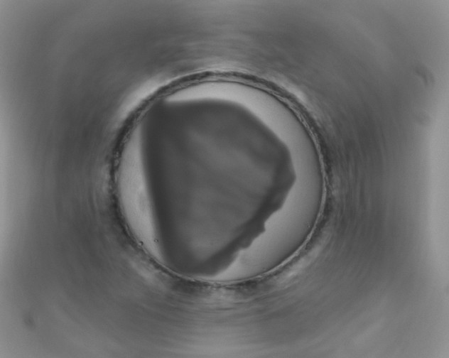 X0000111021263200907022151