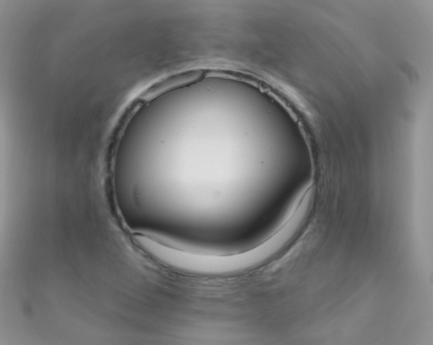 X0000111021264200907022151