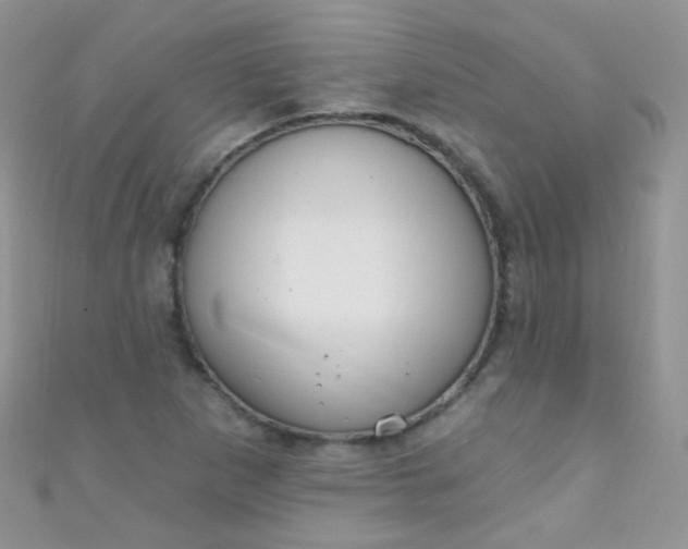 X0000111021265200907022151