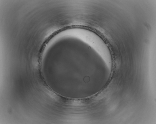 X0000111021266200907022151