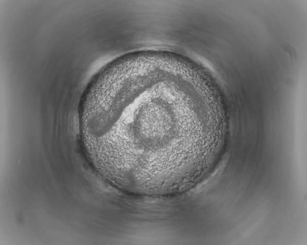 X0000111021267200907022151