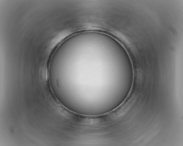 X0000111021269200907022151