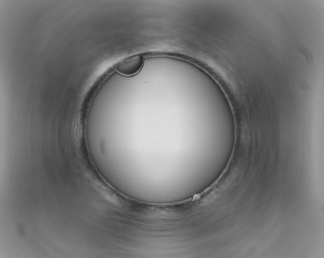 X0000111021270200907022151