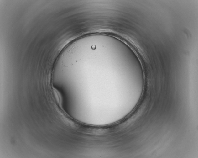 X0000111021273200907022151