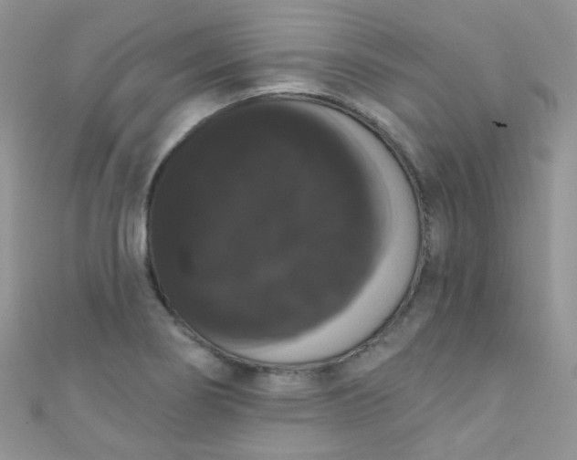 X0000111021274200907022151