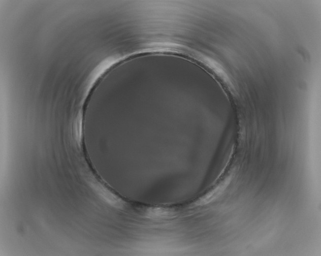 X0000111021275200907022151