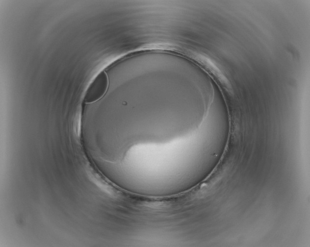 X0000111021276200907022151