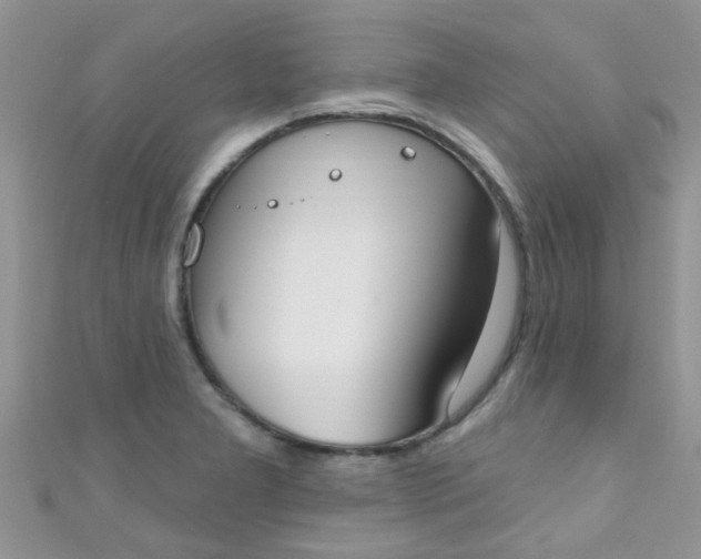 X0000111021277200907022151