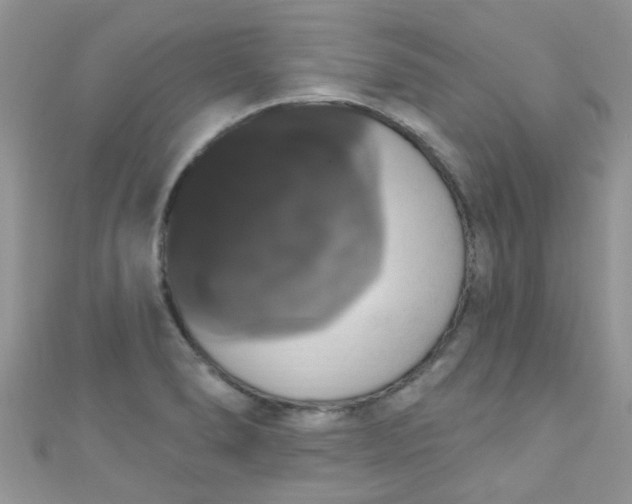 X0000111021278200907022151
