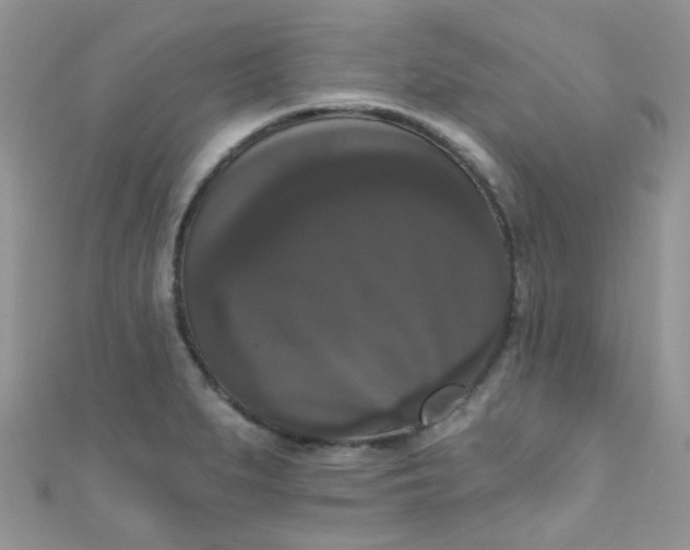 X0000111021279200907022151