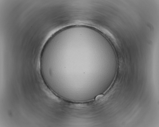 X0000111021280200907022151