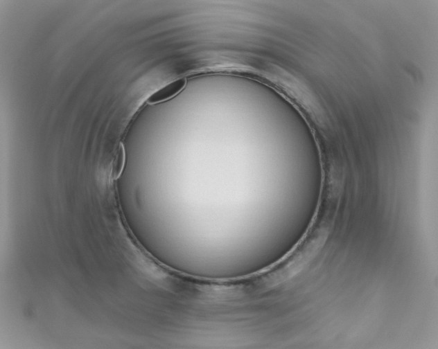 X0000111021281200907022151