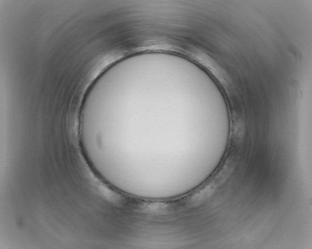 X0000111021282200907022151